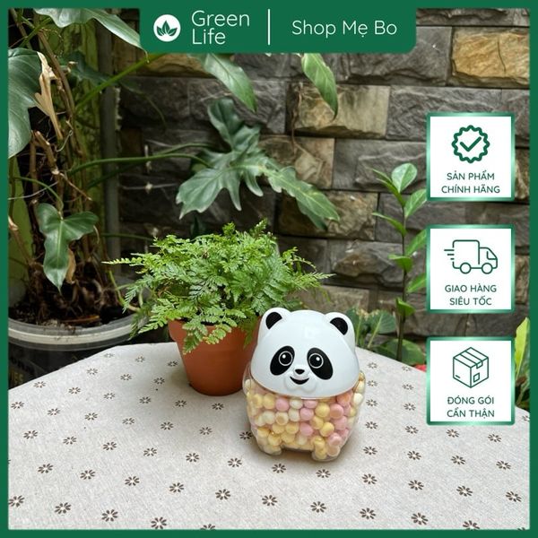 Bánh men gấu Cosco - Đài Loan