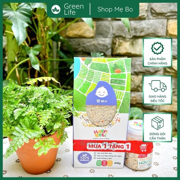 Gạo ăn dặm - Gạo vỡ cám mầm - Gạo vỡ trộn hạt Bébi Rice
