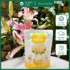 Bánh gạo Organic Farm to family Hàn dạng que 20g (6m+