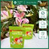 Phô mai hoa quả khô sấy lạnh YOMIT Hàn Quốc
