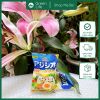 Muối nhạt Ajinomoto cho bé ăn dặm từ 8m+