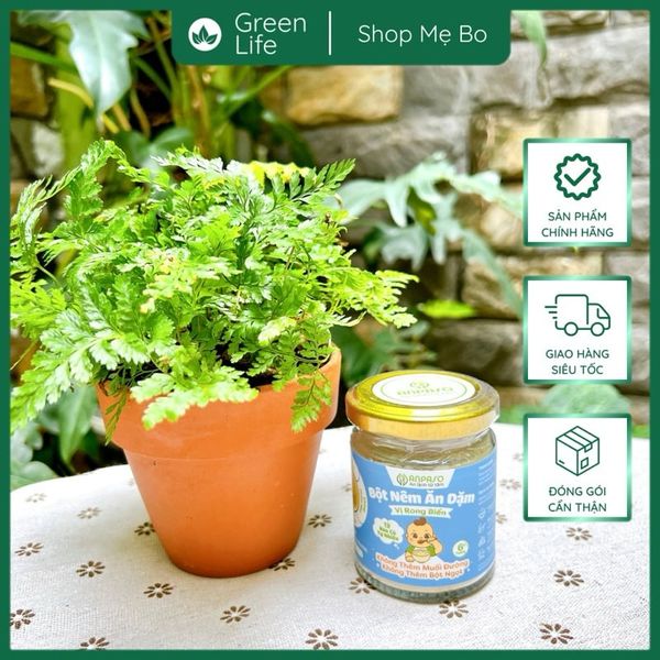 Hạt Nêm Cho Bé Ăn Dặm Anpaso 6+