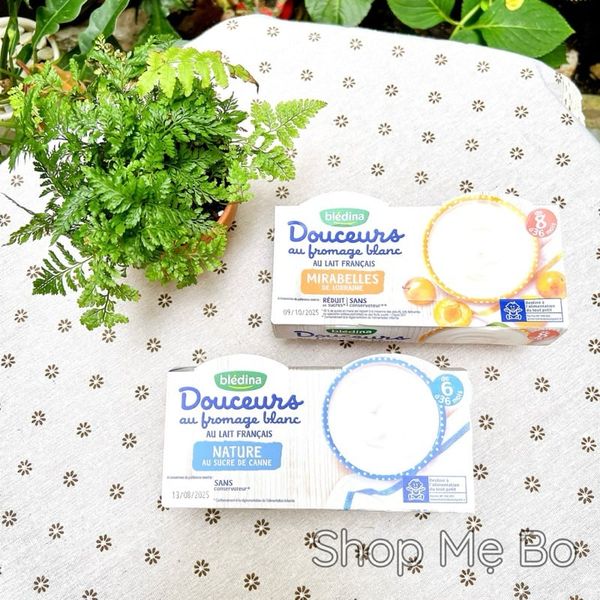 Sữa chua phô mai Bledina Douceurs Pháp – 1 lốc 4 hộp x 100G