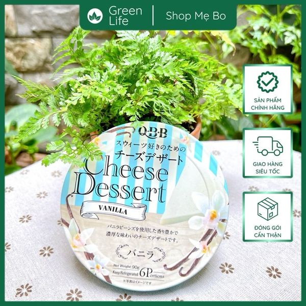 Phô mai QBB Cheese Dessert