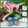 MẬN ĐEN NGHIỀN GERBER CHO BÉ TỪ 4M+ (125G)