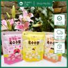 Bánh bỏng bi hữu cơ Mom's Choice cho bé 6M
