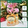 Bánh phô mai que sấy lạnh Mama’s Choice cho bé từ 12m