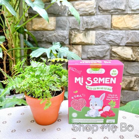 Mì Somen Ăn Dặm Anpaso 100g