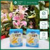 Bánh quế ăn dặm ngũ cốc Ildong Hàn Quốc 40g