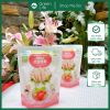 Bánh gạo Organic Farm to family Hàn dạng que 20g (6m+