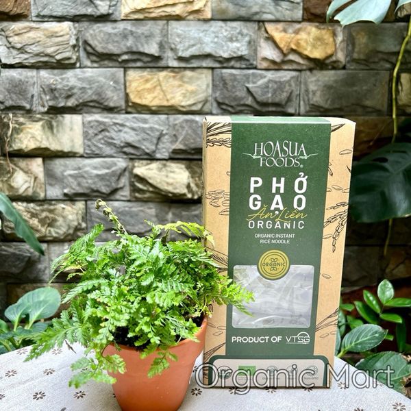 HOA SUA FOODS - Phở Gạo Ăn Liền Hữu Cơ