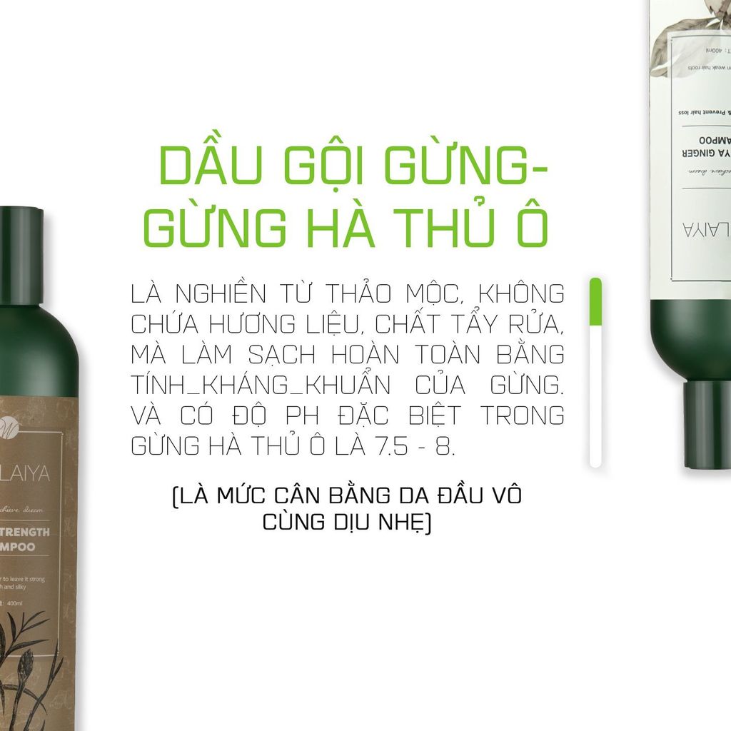 Cặp Gội-Xả Gừng Gừng Hà Thủ Ô Weilaiya