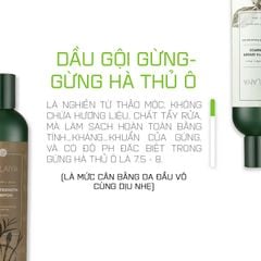 Cặp Gội-Xả Gừng Gừng Hà Thủ Ô Weilaiya