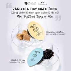Mini Gội-Xả Phục Hồi Đa Tầng Nấm Truffle Weilaiya 14g