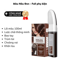 Dầu Gội Phủ Bạc Dưỡng Tóc Weilaiya - màu Nâu Đậm (gồm lõi màu 100ml & phụ kiện)