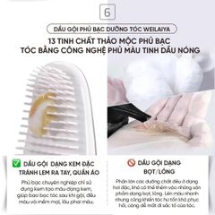 Dầu Gội Phủ Bạc Dưỡng Tóc Weilaiya - màu Nâu Đậm (gồm lõi màu 100ml & phụ kiện)