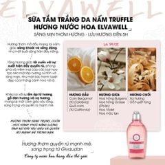 Sữa Tắm Nấm Truffle Dưỡng Ẩm Elvawell Chai 250ml - White Truffle Amino Acid Elvawell - La Rose