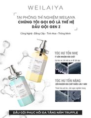 Dầu Gội Phục Hồi Đa Tầng Nấm Truffle Weilaiya White Truffle Lightness Shampoo 450ml