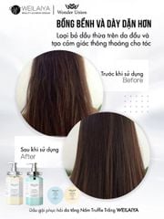 Mini Gội-Xả Phục Hồi Đa Tầng Nấm Truffle Weilaiya 14g