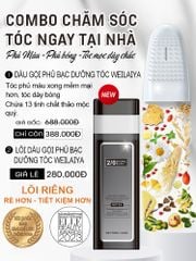 Dầu Gội Phủ Bạc Dưỡng Tóc Weilaiya - màu Đen Tự Nhiên (gồm lõi màu 100ml & phụ kiện)