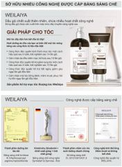 Dầu Gội Gừng Thảo Mộc Weilaiya Luxury Chai 420ml