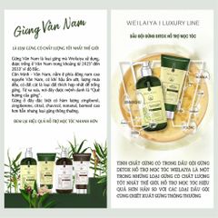 Cặp Gội Xả Gừng Detox - Gừng Thảo Mộc Weilaiya Luxury - Phiên bản mới hiệu quả mọc tóc X2 lần