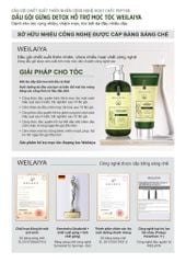 Dầu Gội Weilaiya Luxury Zingiber Detox Shampoo Chai 420ml