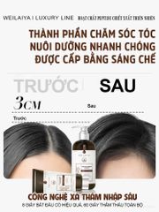 Dầu Gội Gừng Thảo Mộc Weilaiya Luxury Chai 420ml