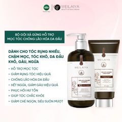 Cặp Gội Xả Gừng Detox - Gừng Thảo Mộc Weilaiya Luxury - Phiên bản mới hiệu quả mọc tóc X2 lần