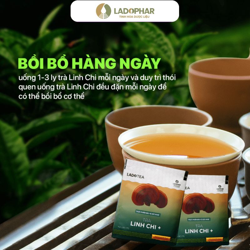 Lado Tea Lado Tea trà Linh chi+