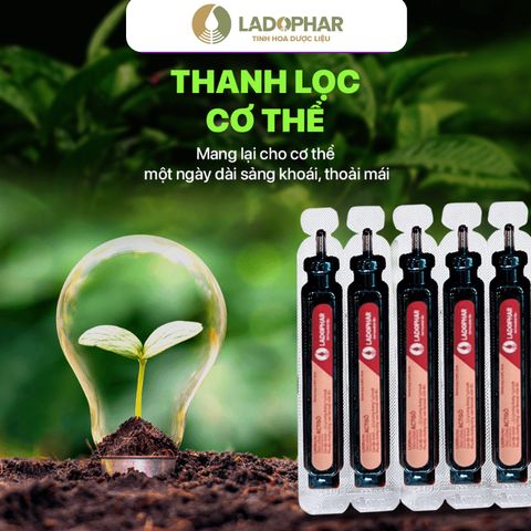 LADO ACTISO ỐNG UỐNG ACTISÔ