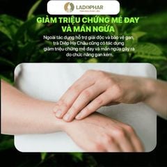 LADO TEA TRÀ DIỆP HẠ CHÂU