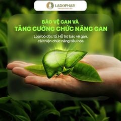 LADO TEA TRÀ THẢO MỘC H20/GÓI