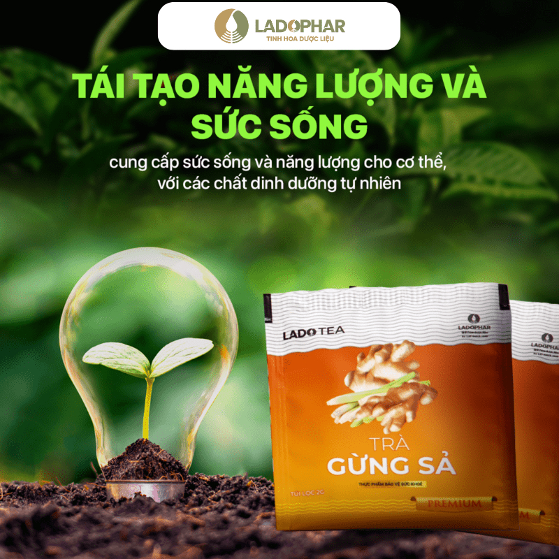 Lado Tea Trà túi lọc gừng sả ladopharma
