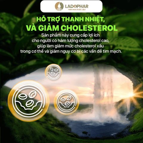 LADOACTISO TRÀ TÚI LỌC NHẤT DIỆP NGUYÊN HƯƠNG