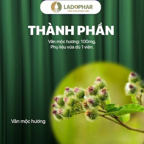 LADO CARE VÂN MỘC HƯƠNG
