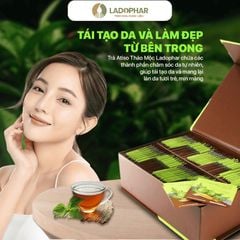 LADOHERBAL TRÀ ACTISÔ+ THẢO MỘC
