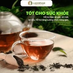 LADOHERBAL TRÀ ACTISÔ+ THẢO MỘC