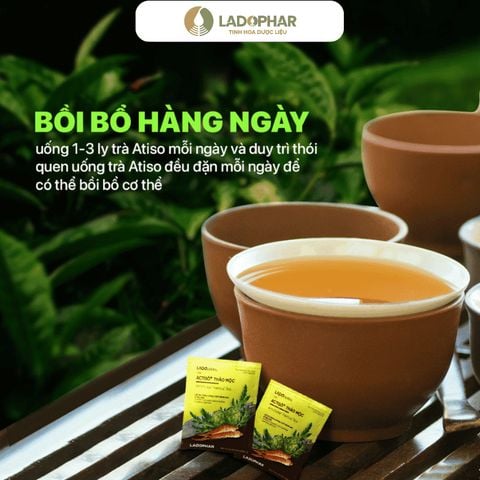 LADOHERBAL TRÀ ACTISÔ+ THẢO MỘC