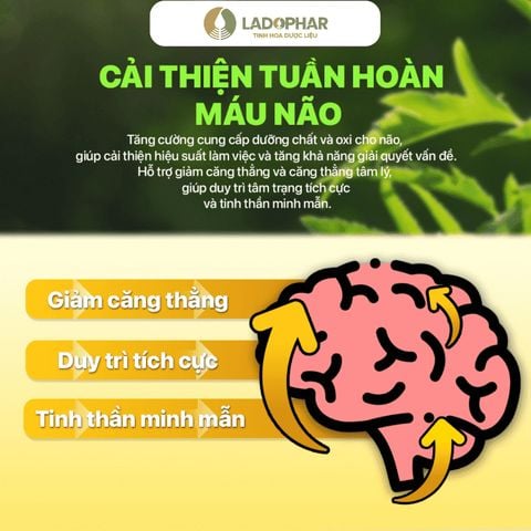 LADO CARE HOẠT HUYẾT DƯỠNG NÃO