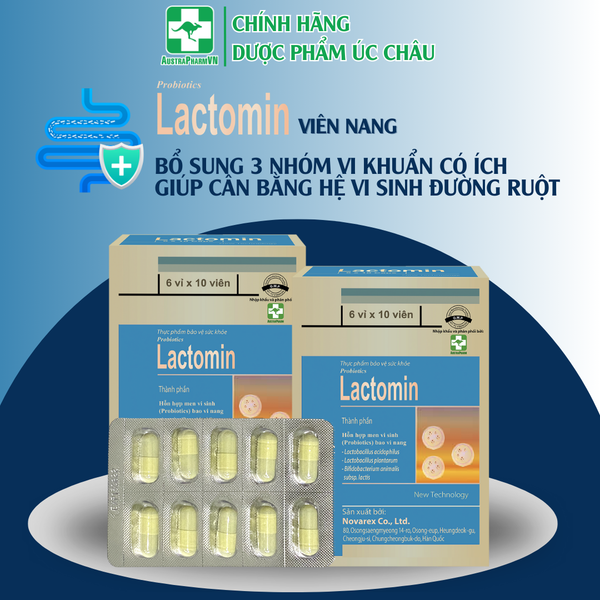 Men vi sinh Lactomin (Hộp 6 vỉ x 10 viên/vỉ)
