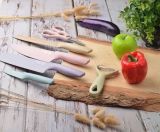  Bộ dao kháng khuẩn Everrich 6 món siêu sắc 