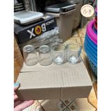  Ly nhót thuỷ tinh uống rượu (cốc mắt trâu), hộp 12 chiếc 