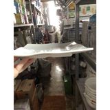  Đĩa phíp vuông trắng melamine 9141, 9142 