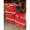  [SHIP HOẢ TỐC HN] Thùng ủ đá, phích ủ đá giữ nhiệt vuông 13L, 16L, 24L, 38L Việt Nhật 