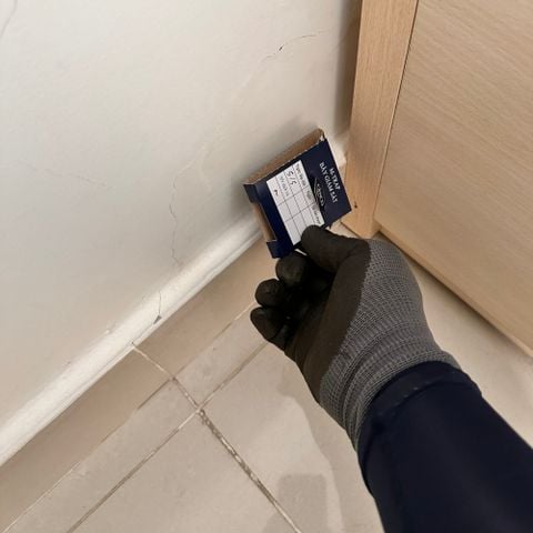 Báo giá dịch vụ diệt gián tận gốc tận nhà, hiệu quả, có bảo hành