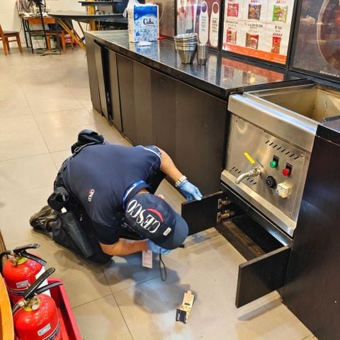 Báo giá dịch vụ diệt gián tận gốc tận nhà, hiệu quả, có bảo hành