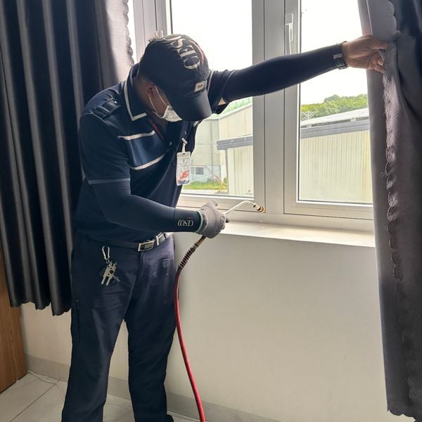 Báo giá công ty dịch vụ diệt muỗi tại nhà CESCO