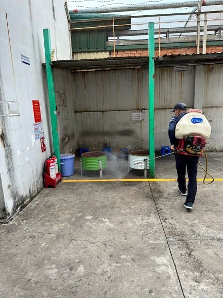 Báo giá dịch vụ diệt ruồi tận gốc hiệu quả, nhanh chóng