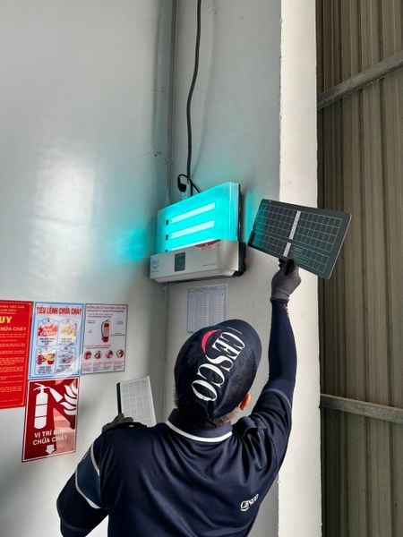 Báo giá dịch vụ diệt ruồi tận gốc hiệu quả, nhanh chóng
